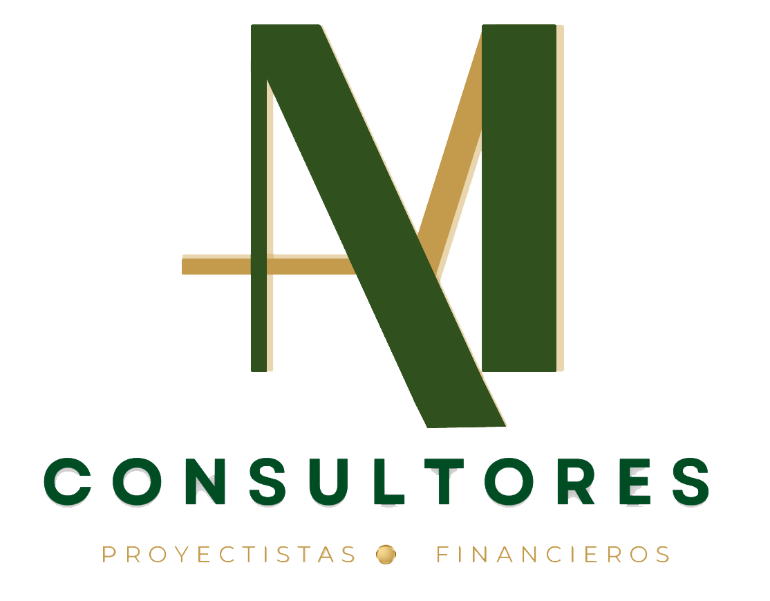 AM Consultores